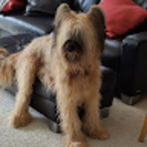 Meet your Posher, Eric